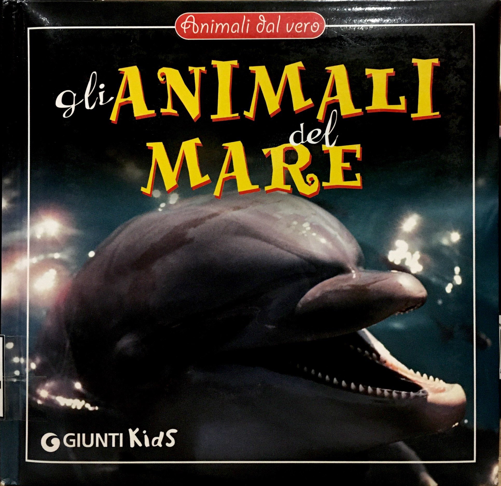 GLI ANIMALI DEL MARE